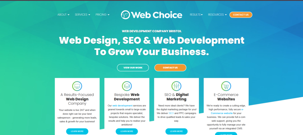 9. Web Design Choice