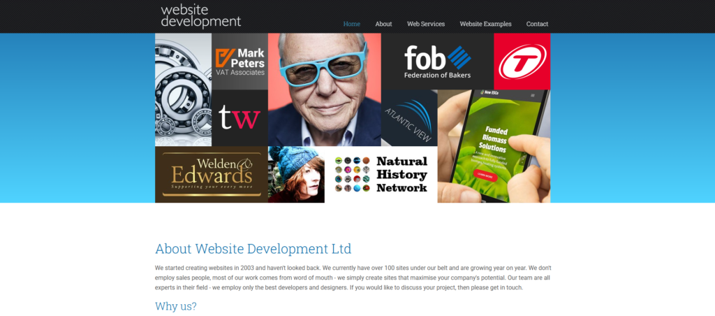 6. Website Development Ltd