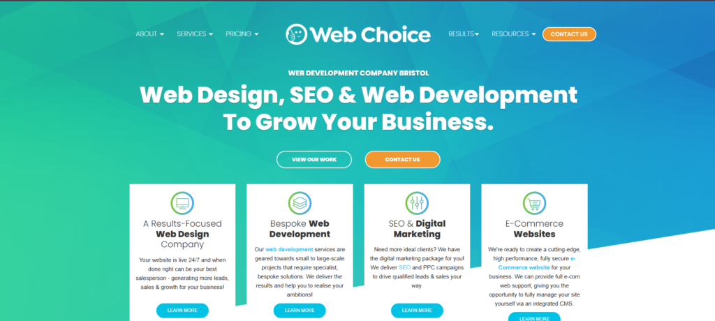 4. Web Design Choice